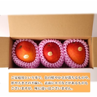 【2027年発送】【先行受付】徳之島 天城町産 宝果樹園 完熟 マンゴー ご家庭用 1kg