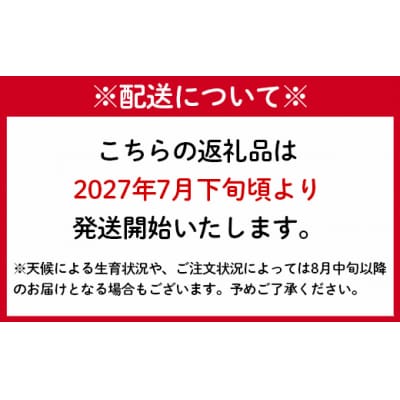 【2027年発送】【先行受付】徳之島 天城町産 宝果樹園 完熟 マンゴー ご家庭用 2kg