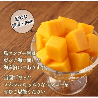 【2027年発送】【先行受付】徳之島 天城町産 島マンゴー園 完熟 マンゴー【ご家庭用】1kg
