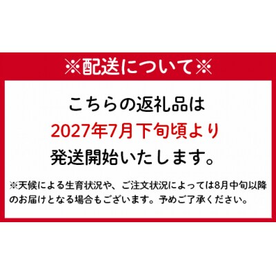 【2027年発送】【先行受付】徳之島 天城町産 島マンゴー園 完熟 マンゴー A品 1kg
