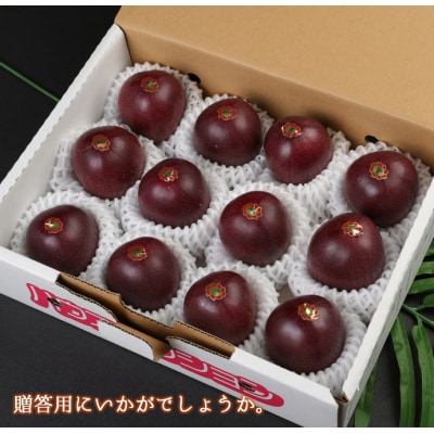 【2027年配送】先行受付 徳之島 天城町 パッションフルーツ A品1kg 贈答 トロピカルフルーツ