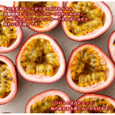 【2027年配送】先行受付 徳之島 天城町 パッションフルーツ A品1kg 贈答 トロピカルフルーツ
