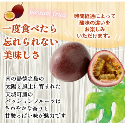 【2027年発送】先行受付 徳之島 天城町産 パッションフルーツ ご家庭用 1kg トロピカル