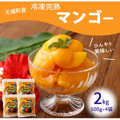 鹿児島県 徳之島 天城町産 冷凍 完熟 マンゴー 2kg(500g×4袋)冷凍マンゴー フルーツ