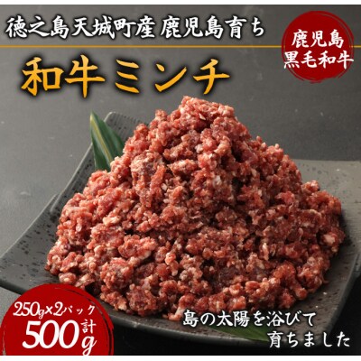 徳之島 天城町産 鹿児島育ち 鹿児島黒毛和牛ミンチ(500g)