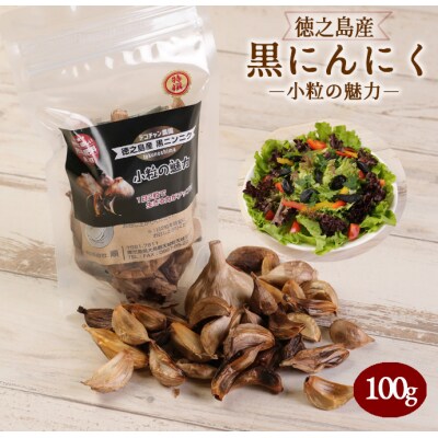 徳之島産 黒にんにく 100g ニンニク 小粒の魅力 小粒 にんにく 薬味 完熟肥料 国産