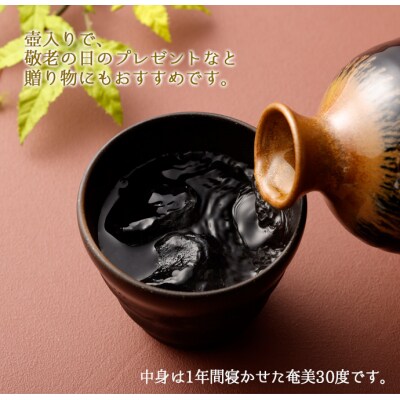 徳之島 天城町 黒糖焼酎 長寿の酒 550ml×2本 30度 瓶 贈答 焼酎 お酒