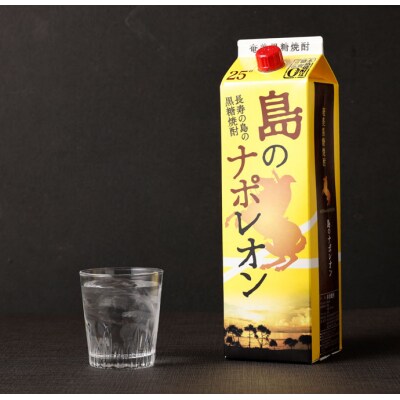 【定期便年12回】黒糖焼酎『島のナポレオン』1800ml×3本セット 計36本 パック