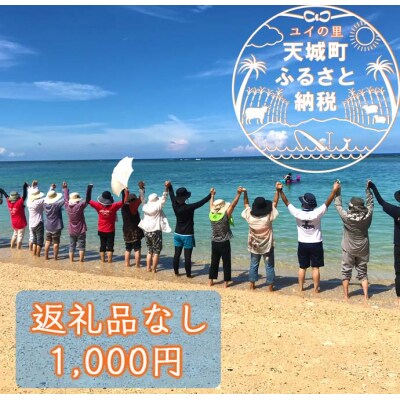 【返礼品なし】天城町 への寄付 (1口: 1,000円 )鹿児島 徳之島 天城町 寄附 応援 支援