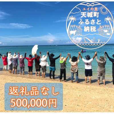 【返礼品なし】天城町 への寄付 (1口: 500,000円 )鹿児島 徳之島 天城町 寄附 応援 支