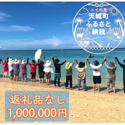 【返礼品なし】天城町 への寄付 (1口: 1,000,000円 )鹿児島 徳之島 天城町 寄附 応援