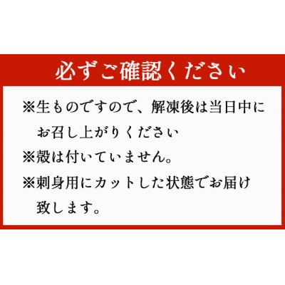 徳之島 天城町 夜光貝 ヤコウガイ 刺身用 400g 瞬間冷凍 カット済み 魚介 貝類 おつまみ