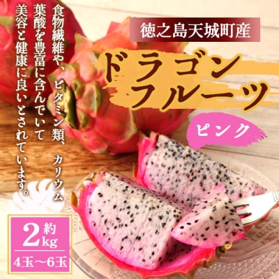 【2026年発送分】徳之島 天城町産 ピンク ドラゴンフルーツ 約2kg トロピカルフルーツ