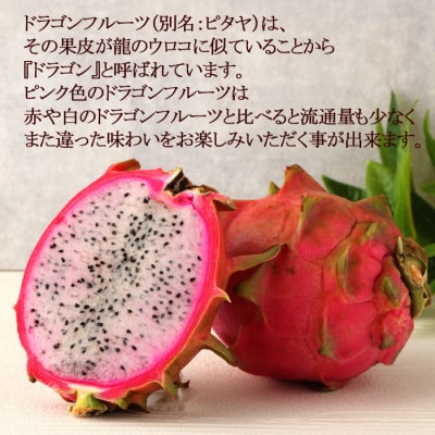 【2026年発送分】徳之島 天城町産 ピンク ドラゴンフルーツ 約2kg トロピカルフルーツ