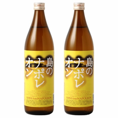 黒糖焼酎 島のナポレオン 900ml×2本セット 瓶 焼酎 A-50-N