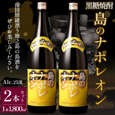【鹿児島県天城町】黒糖焼酎 島のナポレオン 1800ml×2本セット 合計3.6L 瓶 酒 焼酎