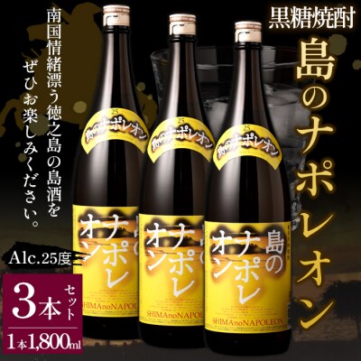 【鹿児島県天城町】黒糖焼酎 島のナポレオン 1800ml×3本セット 合計5.4L 瓶 酒 焼酎