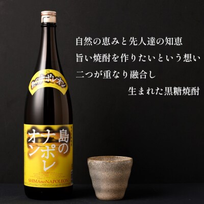 【鹿児島県天城町】黒糖焼酎 島のナポレオン 1800ml×3本セット 合計5.4L 瓶 酒 焼酎