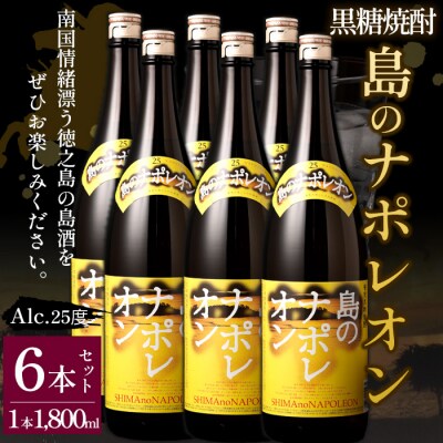 【鹿児島県天城町】黒糖焼酎 島のナポレオン 1800ml×6本セット 合計10.8L 瓶 酒 焼酎