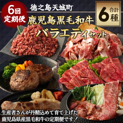 【6回定期便】徳之島 天城町 鹿児島黒毛和牛 バラエティセット 焼肉 すき焼き ステーキ ハンバーグ