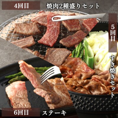 【6回定期便】徳之島 天城町 鹿児島黒毛和牛 バラエティセット 焼肉 すき焼き ステーキ ハンバーグ