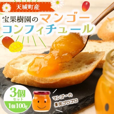徳之島 天城町 宝果樹園 マンゴー コンフィチュール 100g×3個セット ジャム