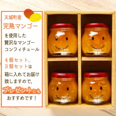 徳之島 天城町 宝果樹園 マンゴー コンフィチュール 100g×3個セット ジャム