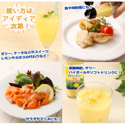 徳之島 天城町 ヤマ・シークニン 100%果汁 70ml×4本 シークヮーサー 島みかん