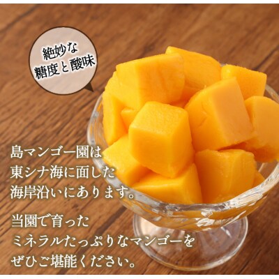 【2027年発送】【先行受付】徳之島 天城町産 島マンゴー園 完熟 マンゴー【ご家庭用】2kg