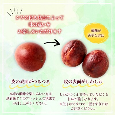【2027年発送】徳之島 天城町 吉川果樹園 パッションフルーツ 家庭用 1kg トロピカルフルーツ