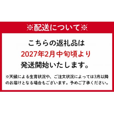 先行受付 徳之島 天城町 赤土ばれいしょ 新じゃが 春一番 20kg L～2L 混合 ジャガイモ