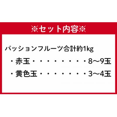 【2027年発送】徳之島 天城町 吉川果樹園 赤黄混合 贈答用 パッションフルーツ 約1kg