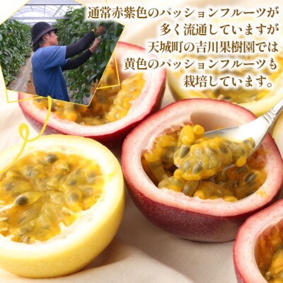【2027年発送】徳之島 天城町 吉川果樹園 赤黄混合 贈答用 パッションフルーツ 約1kg