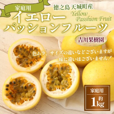 【2027年発送】徳之島 天城町 吉川果樹園 家庭用 イエロー パッション フルーツ 約1kg