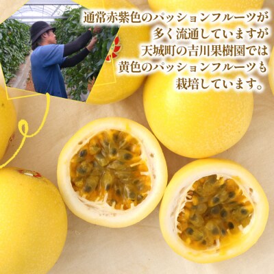 【2027年発送】徳之島 天城町 吉川果樹園 家庭用 イエロー パッション フルーツ 約1kg