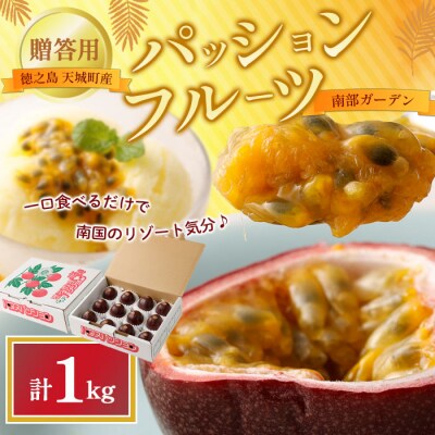 【2027年発送】先行受付 徳之島 天城町 南部ガーデン パッションフルーツ 贈答用 1kg