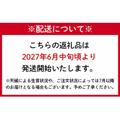 【2027年発送】先行受付 徳之島 天城町 南部ガーデン パッションフルーツ 家庭用 1kg