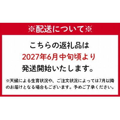 【2027年発送】先行受付 徳之島 天城町 南部ガーデン パッションフルーツ 家庭用 3kg