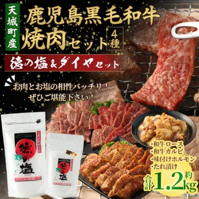 鹿児島黒毛和牛 焼肉セット 計約1.2kg 徳の塩・ダイヤセット 計約230g 総計約1.43