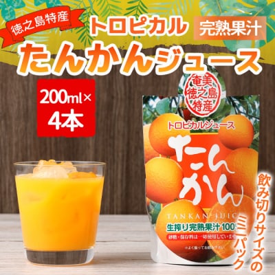 天城町産 生搾り完熟果汁100% 宝果樹園 ミニタンカンジュース 4本セット 200ml×4本
