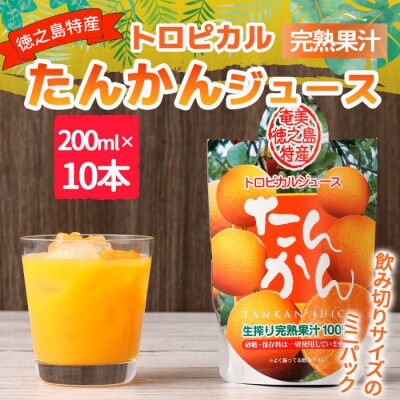 天城町産 生搾り完熟果汁100% 宝果樹園 ミニタンカンジュース 10本セット 200ml×10本