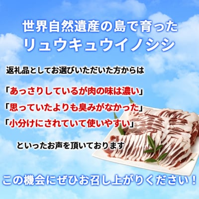 徳之島 天城町 イノシシ ロース スライス 800g 猪肉 ジビエ