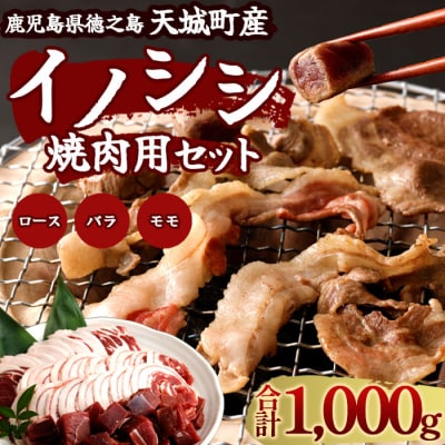 徳之島 天城町 イノシシ 焼肉セット 1kg 猪肉 ジビエ 焼肉 ロース バラ サイコロ