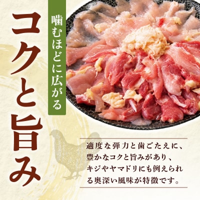 比内地鶏1羽ケース&濃縮スープ(冷蔵) 