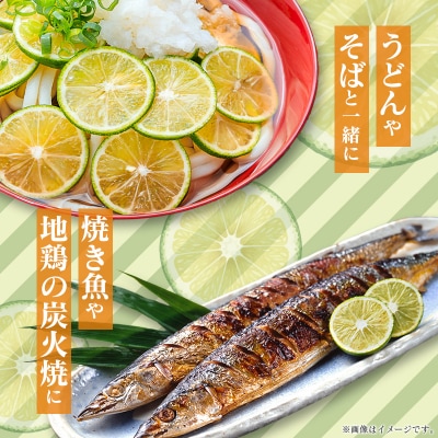 【2027年発送】みやざきへべす 約1kg 宮崎県産