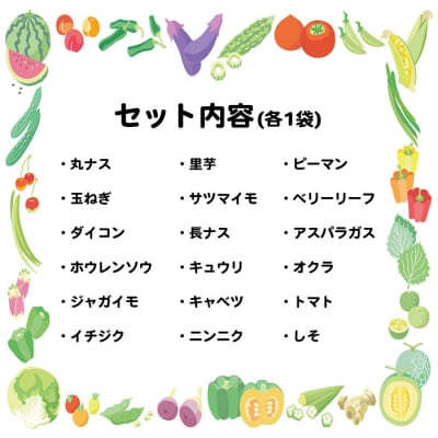 【大好評】<せいよ旬の野菜・果物詰合せセット>愛媛 おいしい やさい 新鮮
