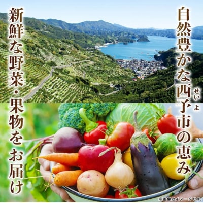 【大好評】<せいよ旬の野菜・果物詰合せセット>愛媛 おいしい やさい 新鮮