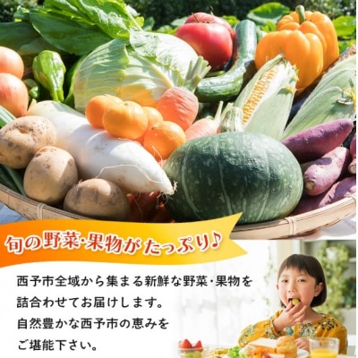 【大好評】<せいよ旬の野菜・果物詰合せセット>愛媛 おいしい やさい 新鮮