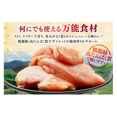 鶏肉 定期便 むね肉 若鶏 鶏むね肉 2kg 12回 総計24kg [31bp0010]
