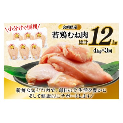 鶏肉 定期便 むね肉 若鶏 鶏むね肉 4kg 3回 総計12kg [31bp0016]